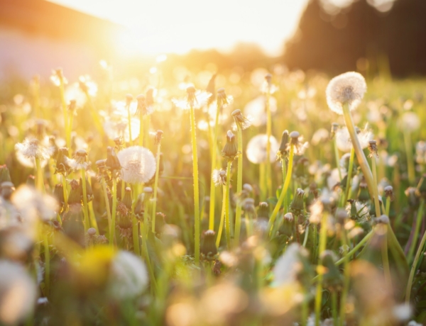 Időjárás 2026. április 17.: Meleg és szeles péntek elé nézünk