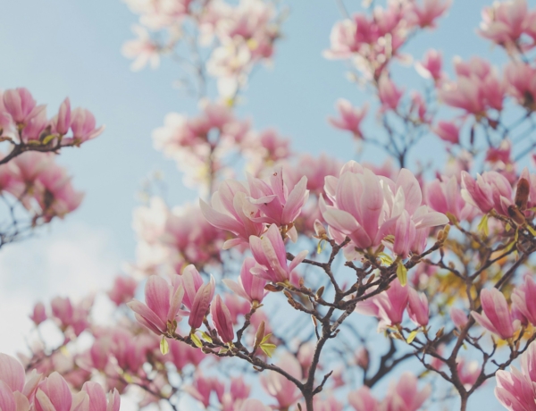 Időjárás 2026. április 7.: A hőmérséklet visszább esik és a szél újra feltámad