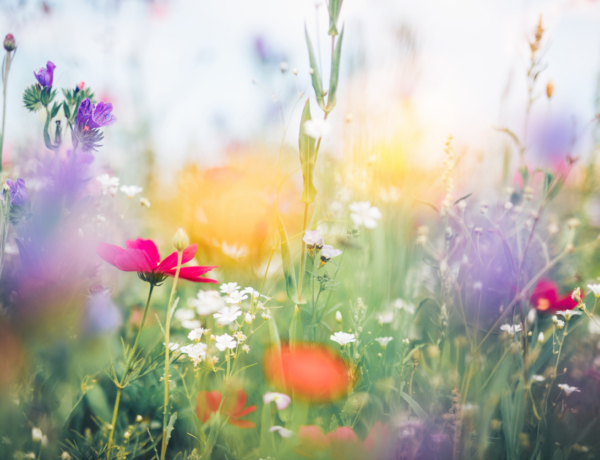 Időjárás 2026. április 13.: Közepesen felhős, szeles nap, kellemes hőérzettel