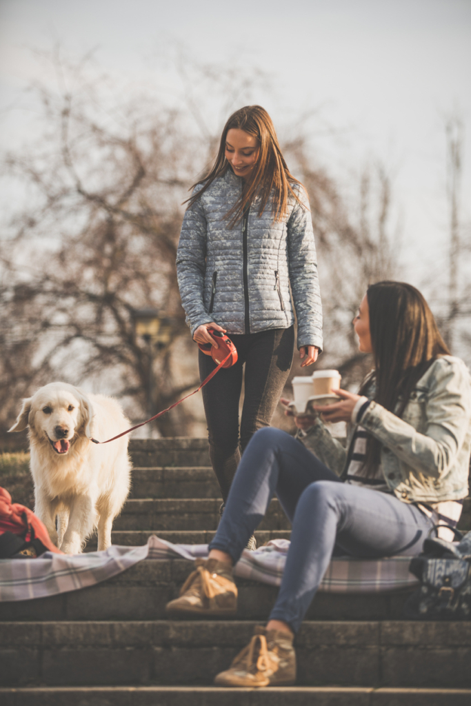 Kutyás gazdi odamegy a másik kutyás gazdihoz