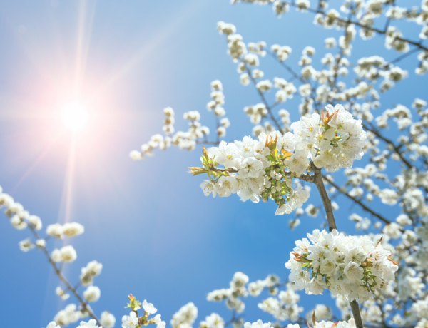 Időjárás 2026. április 5.: Közepesen felhős, kellemesen meleg a húsvét első napja