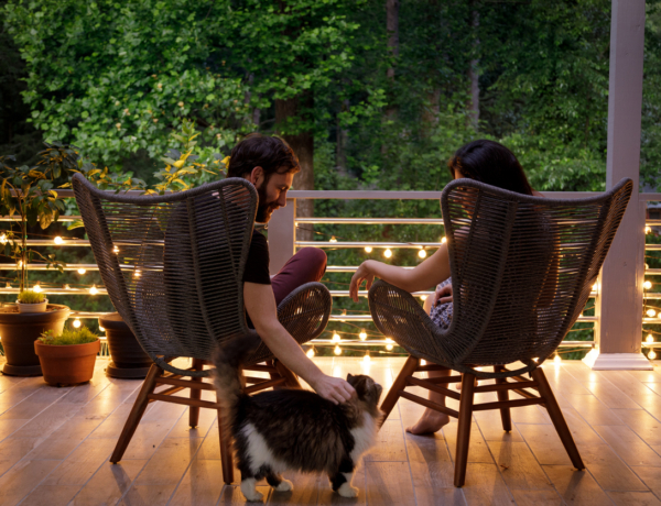 A szomszéd macskája rendszeresen az én kertembe piszkít – így kezelem a kínos helyzetet