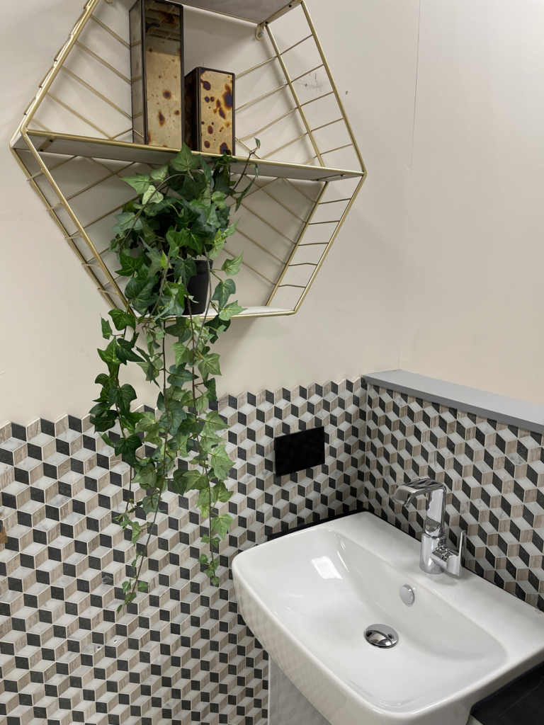 Plante verte sur une étagère de salle de bain
