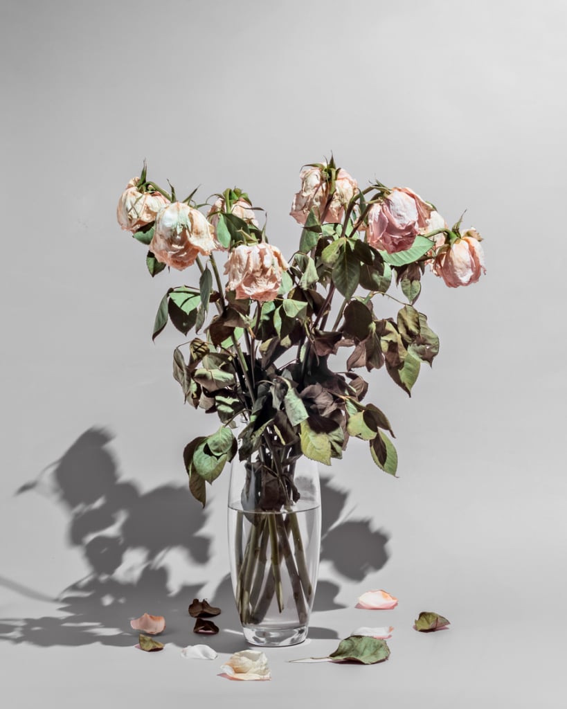 Elszáradó rózsacsokor vázában
