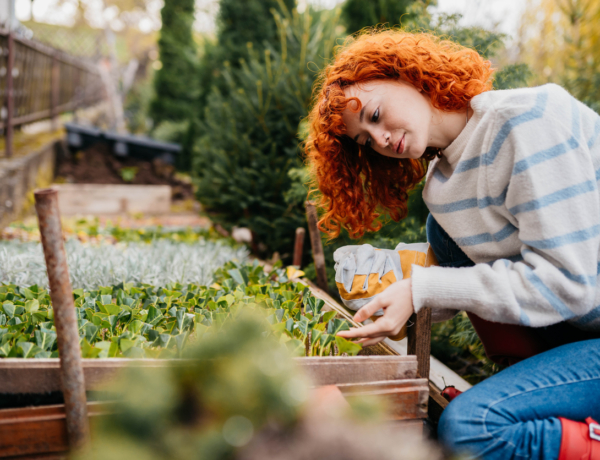 Időjárás 2026. április 12.: Fokozatosan melegszik, és csökken a felhőzet