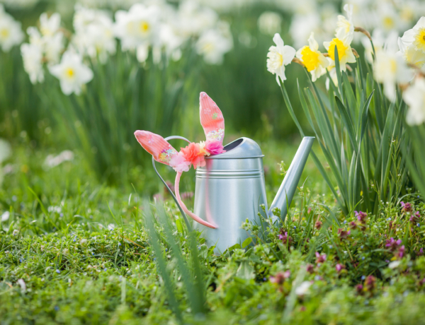 Ezt hozza 2026. április 5. a numerológia szerint: különösen támogatott minden, ami új