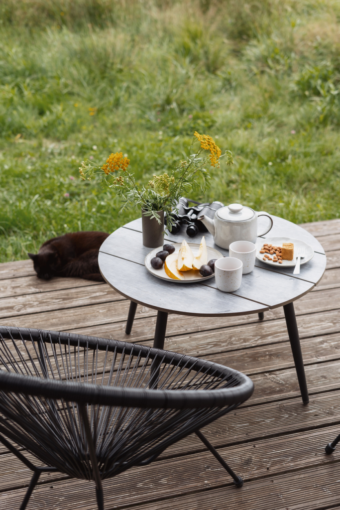 Colazione in terrazza, un gatto sdraiato a terra