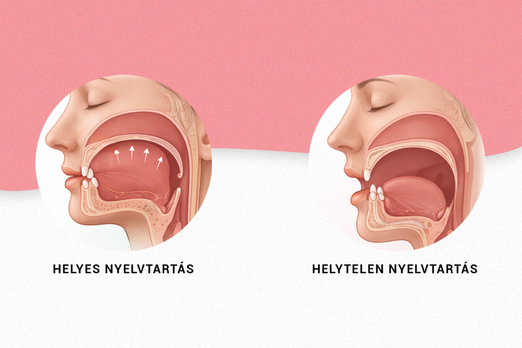 Nyelvtartási pozíciók