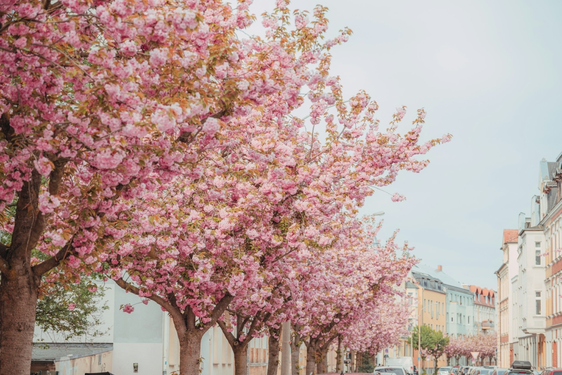 Időjárás 2026. április 25.: Tovább melegszik az idő