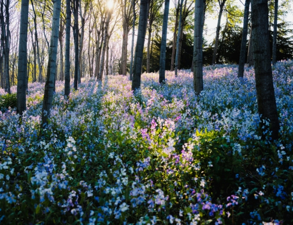 Időjárás 2026. április 11.: Gyengén felhős, több napsütéssel