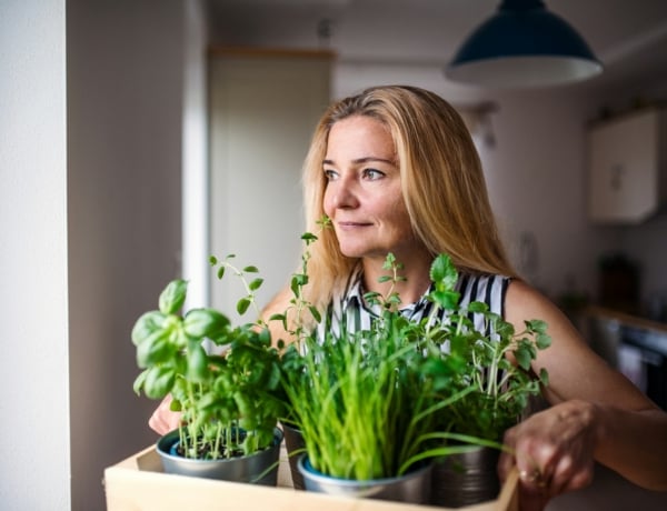 Főzz sajátból: Gyorsan növő zöldségek, amiket a lakásban is termeszthetsz