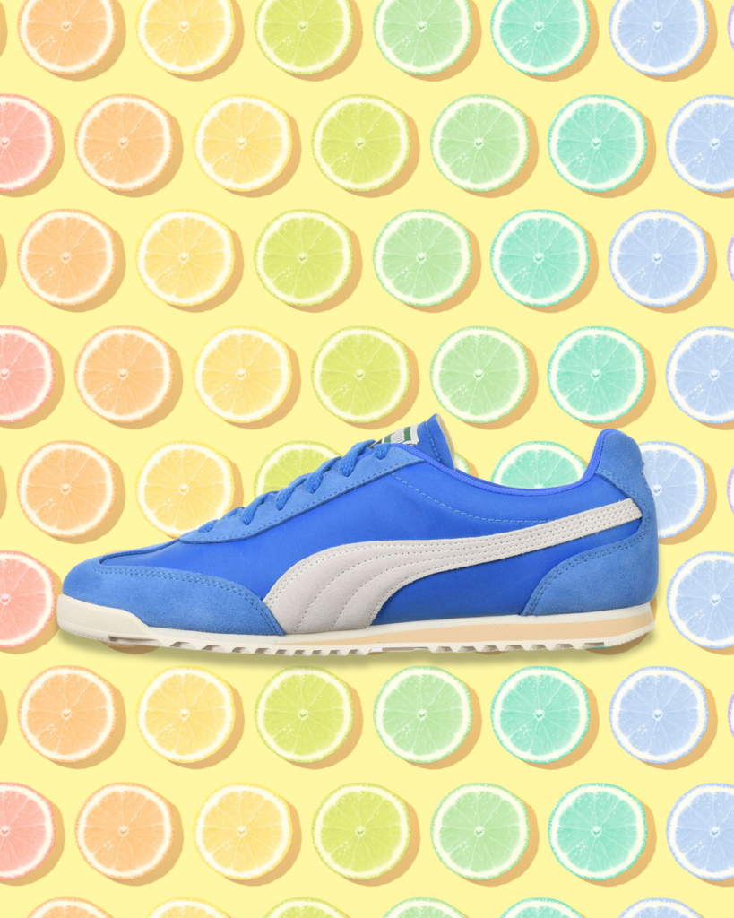Puma Arizona