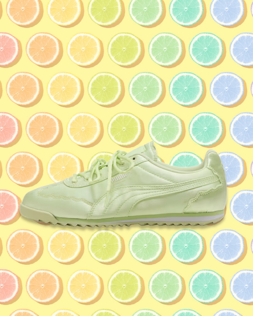 Puma Arizona Venus
