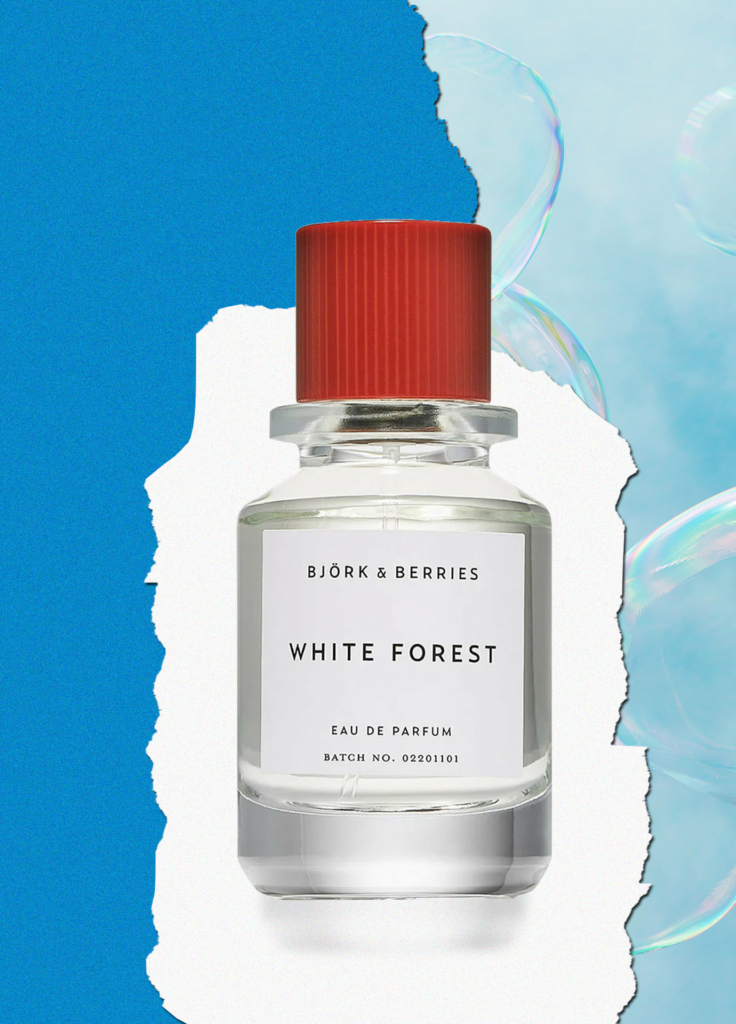 Björk and Berries - White Forest