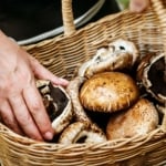 A 3 kedvenc nyári kiruccanásom, ami egyetlen forintba sem kerül – mégis feltölt