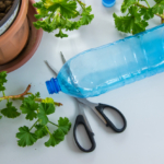 Öntözőrendszer fillérekből: DIY csepegtető palackokból, hogy a növényeid kibírják, amíg nyaralsz