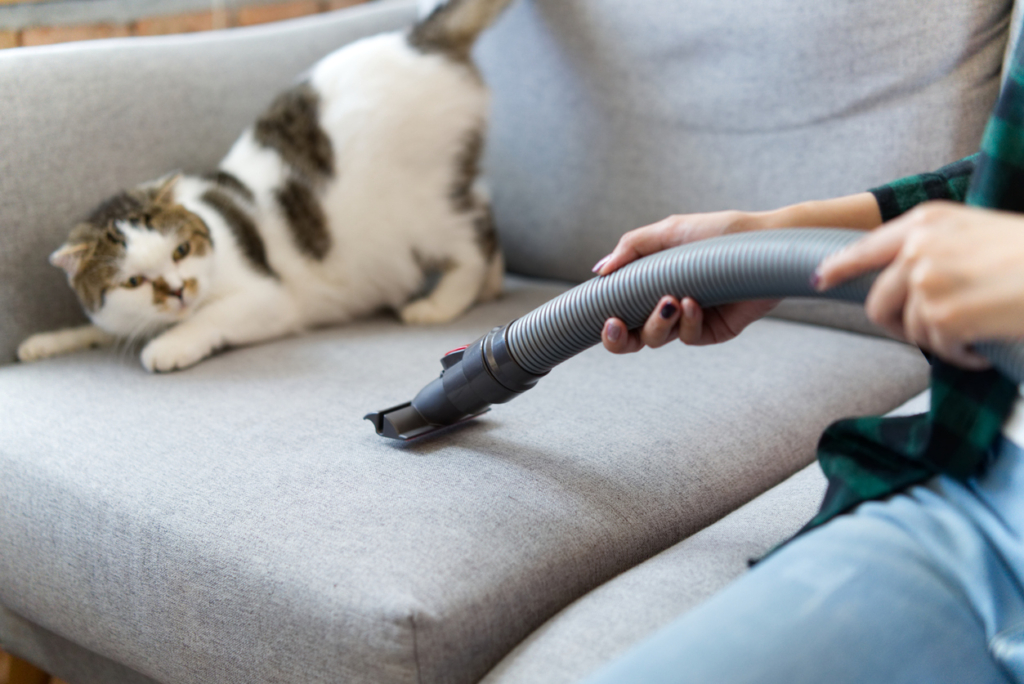 Így szabadíthatod meg az otthonodat a portól és az allergénektől hosszú hetekre