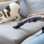 Így szabadíthatod meg az otthonodat a portól és az allergénektől hosszú hetekre