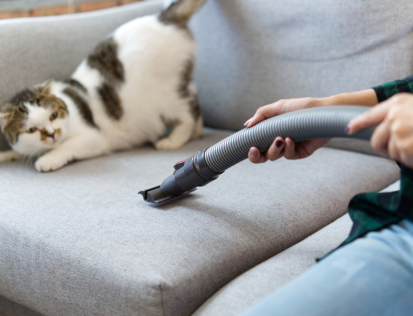 Így szabadíthatod meg az otthonodat a portól és az allergénektől hosszú hetekre