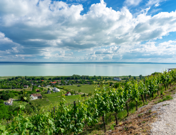 A 3 legszebb hazai panorámás piknikhelyszín, amit ezen a nyáron látnod kell