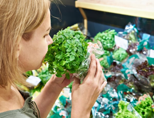 Miért pusztul el olyan hamar a szupermarketben vásárolt fűszernövény? A trükk, amivel megmentheted