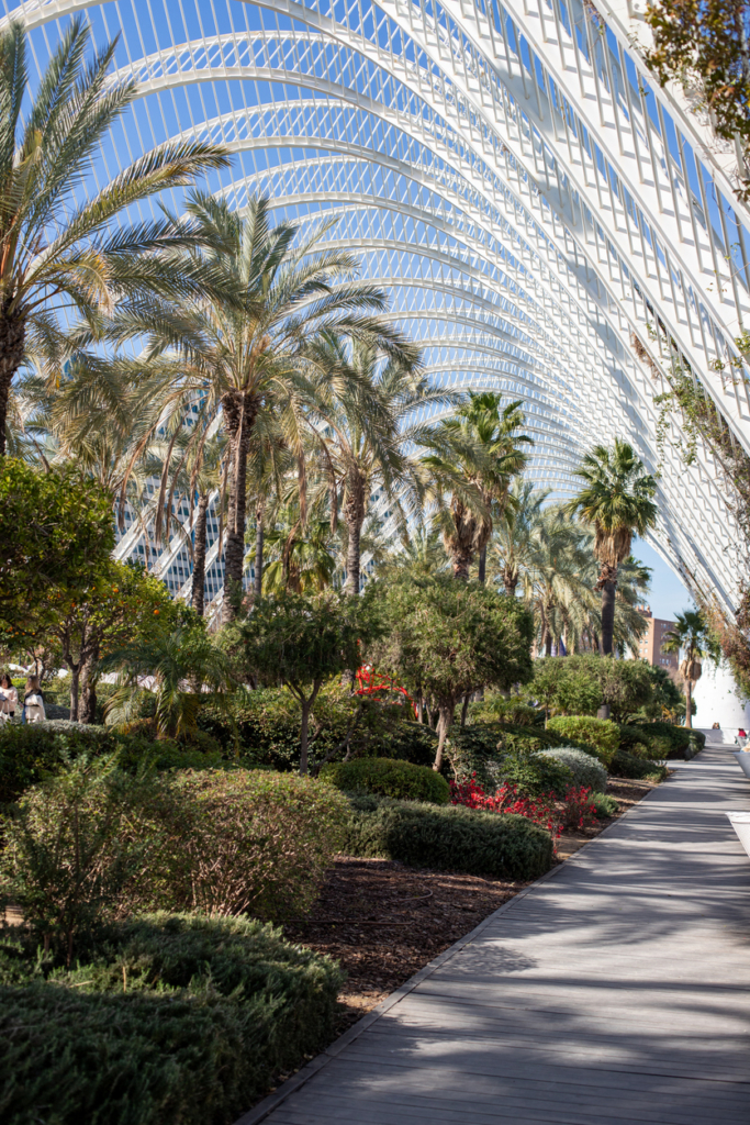 L'Umbracle