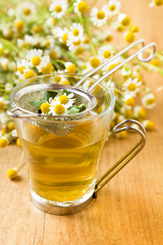 Kamillatea