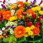Ma, július 29., Márta és Flóra névnapja van – Milyen személyiségek ők?