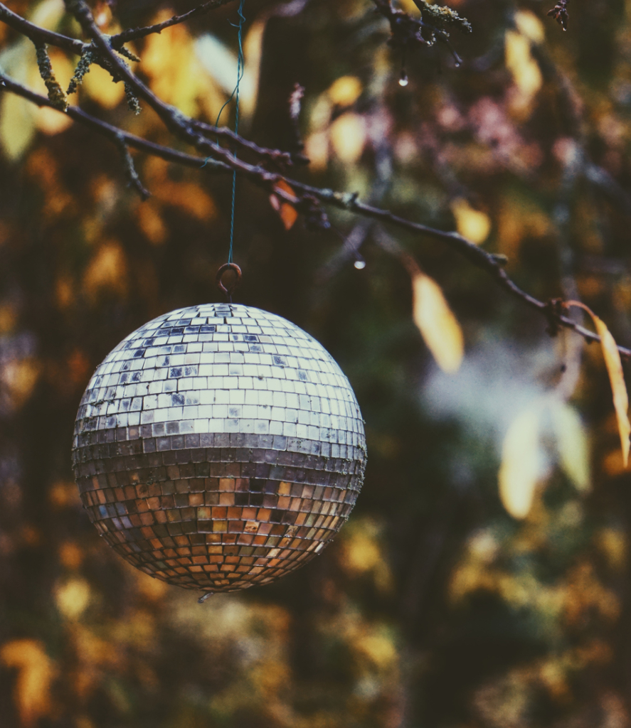 Disco labda lóg a fán ősszel