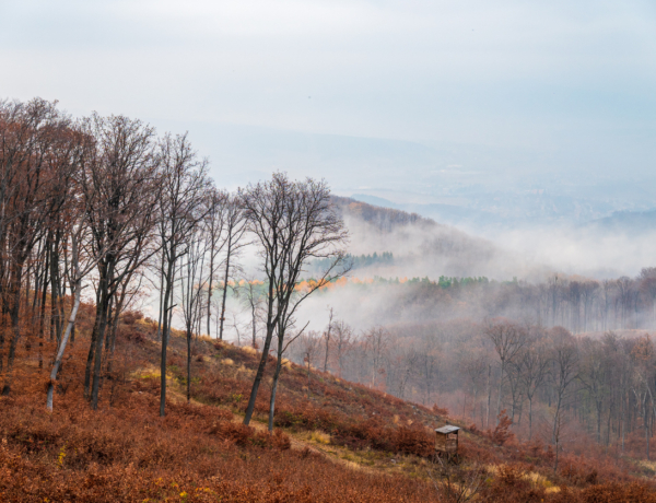 Tökéletes belföldi őszi úti cél, ha csendre és természetre vágyik a lelked